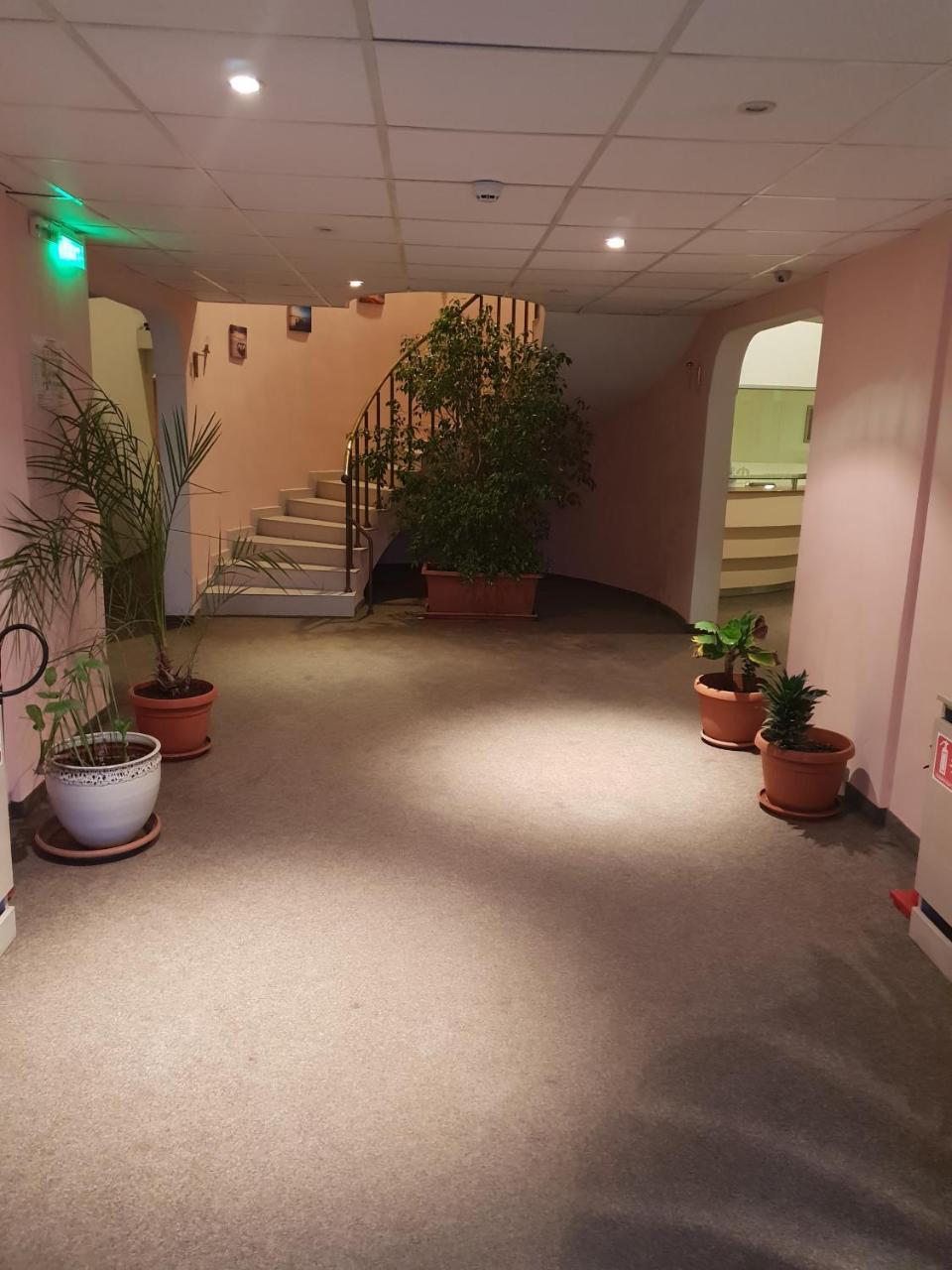 Elena Hostel *