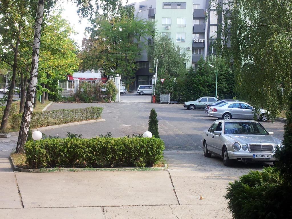 Hostel Elena *