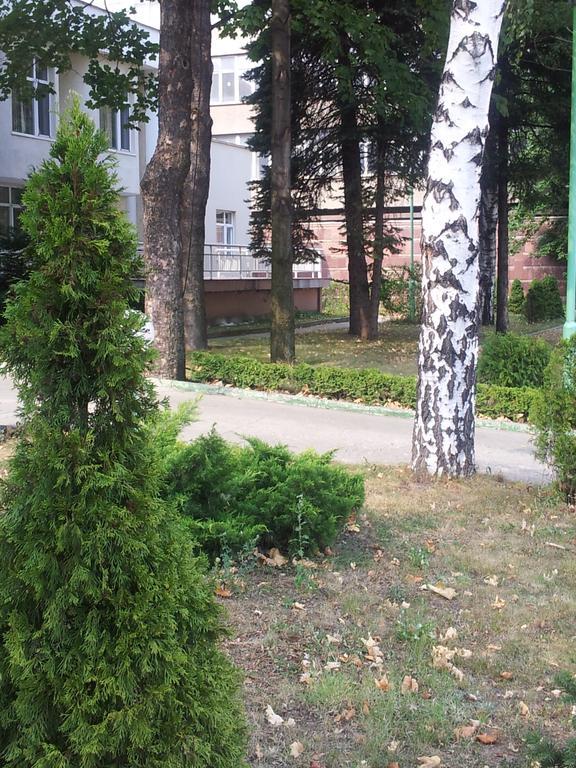 Hostel Elena